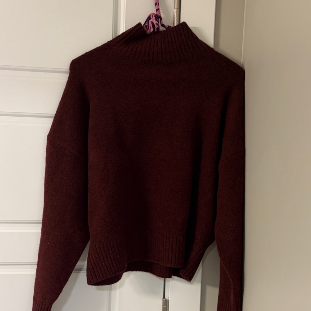 Zara Burgundy Sweater